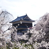 桜に包まれて