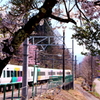 春色電車