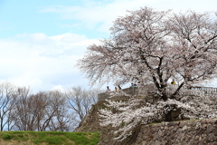 松代城跡　戌亥隅櫓