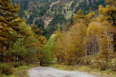 高峰高原の紅葉