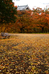 上田城の秋