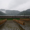 電車