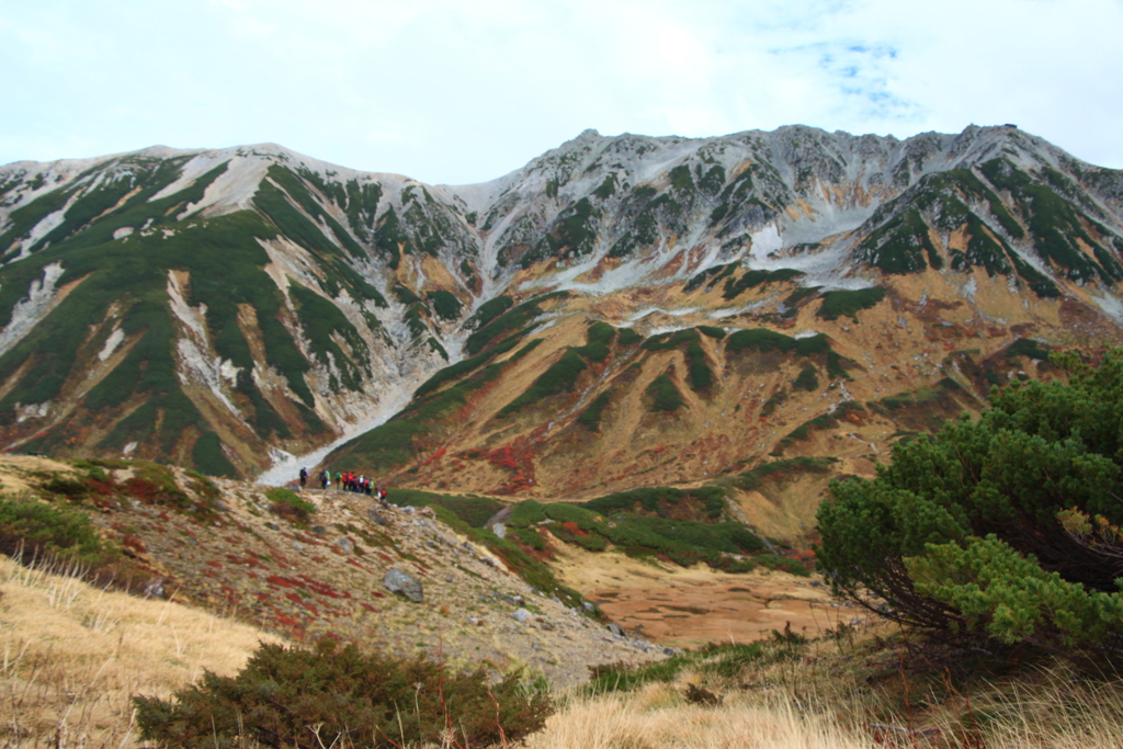 山