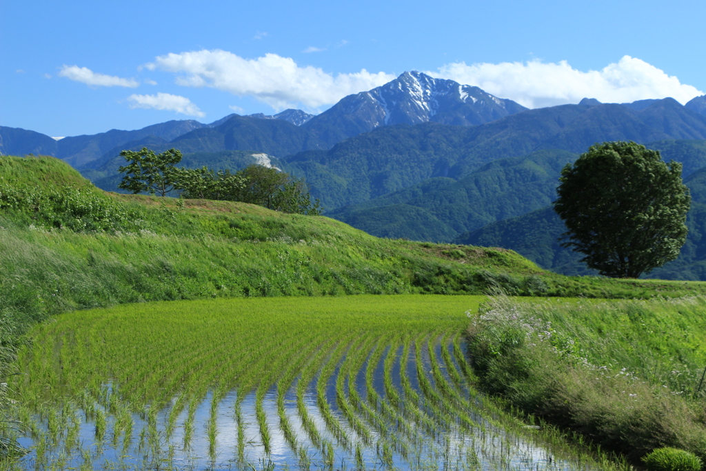 甲斐駒ケ岳　標高2967 m