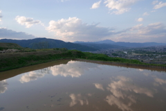 棚田
