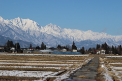  屋敷林も美しい安曇野の田園風景 