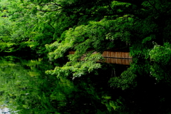 雲場池　時々雨