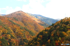 紅葉の山