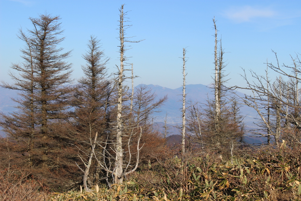 高原の風景