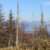 高原の風景
