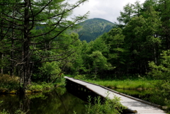 御泉水自然園より蓼科山