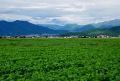 塩田平