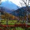 田の原湿原