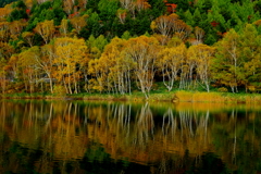 秋の木戸池