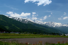 田植え前