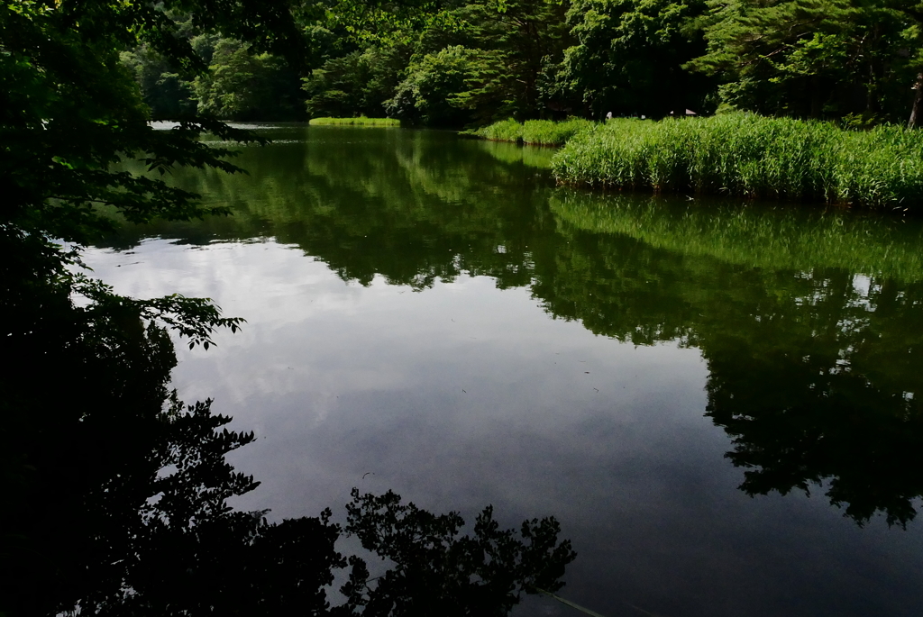 君の名は
