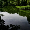 君の名は