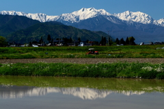 田植え前