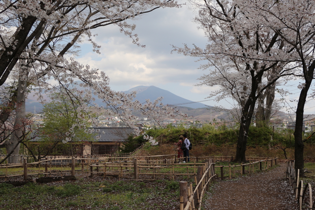 小諸城址より浅間山