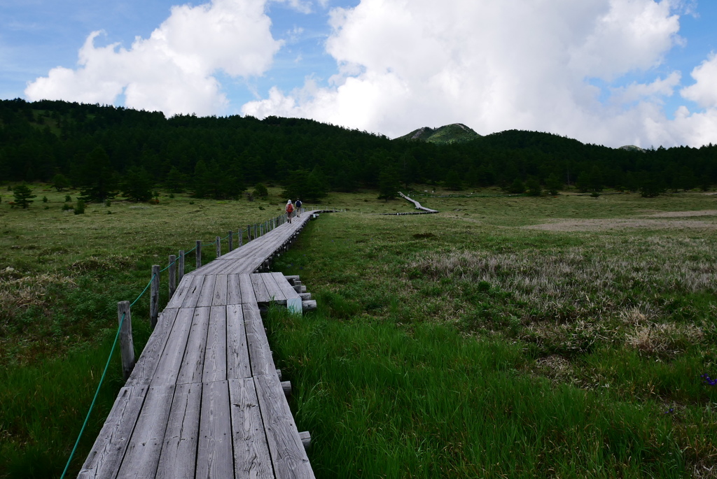 篭ノ登山(かごのとやま）の頭が見えました＾＾