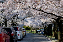 松本市城山公園