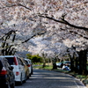 松本市城山公園