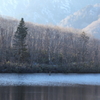 鏡池
