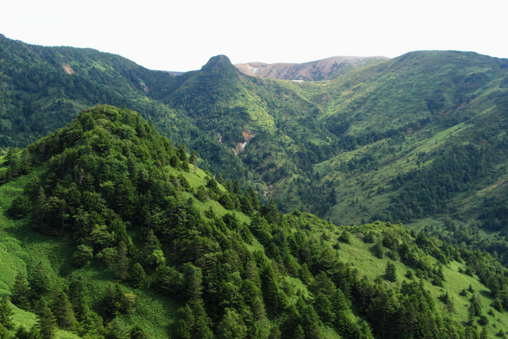 白根山？？