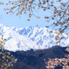 春