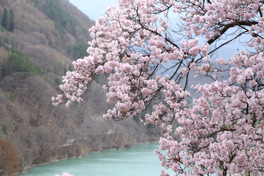 高遠湖