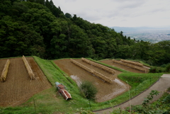 秋の気配