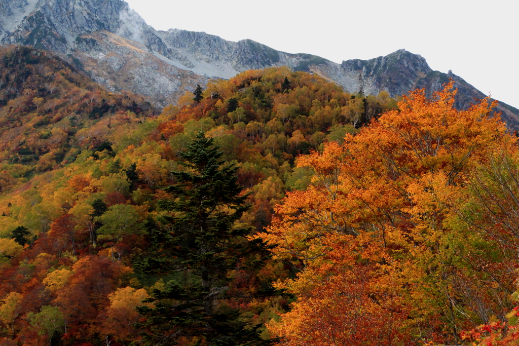 ダム側より見た立山