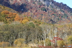 紅葉