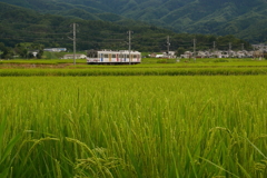 電車