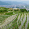 ６月
