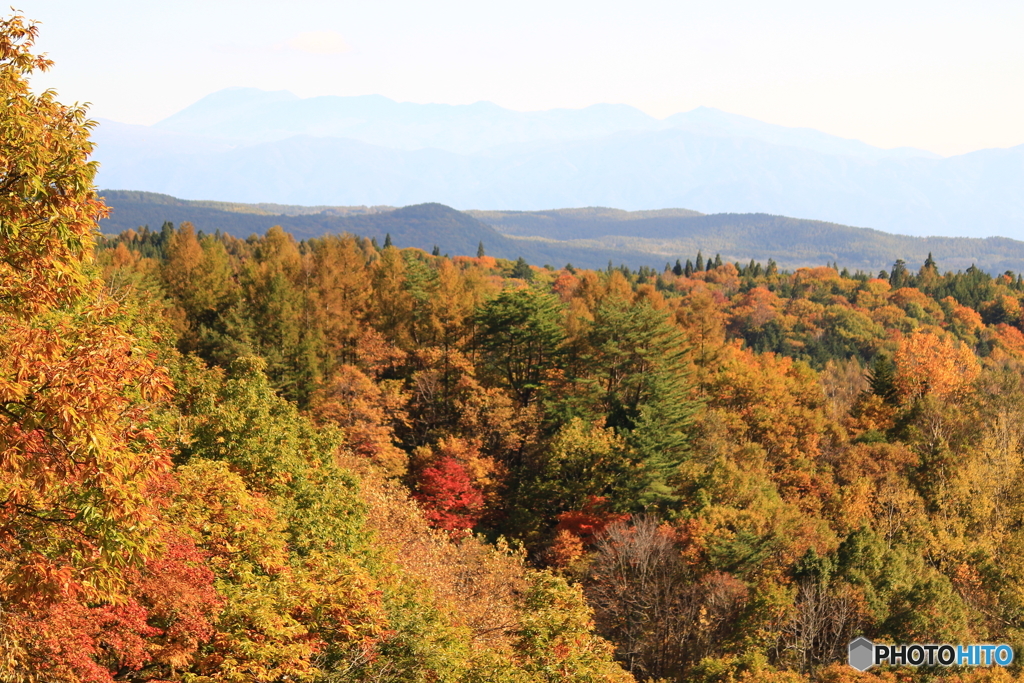 紅葉の山