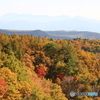 紅葉の山