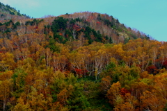 紅葉の山