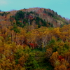 紅葉の山