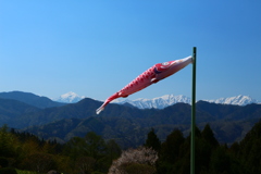北アルプスを泳ぐ