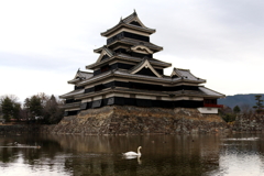 松本城
