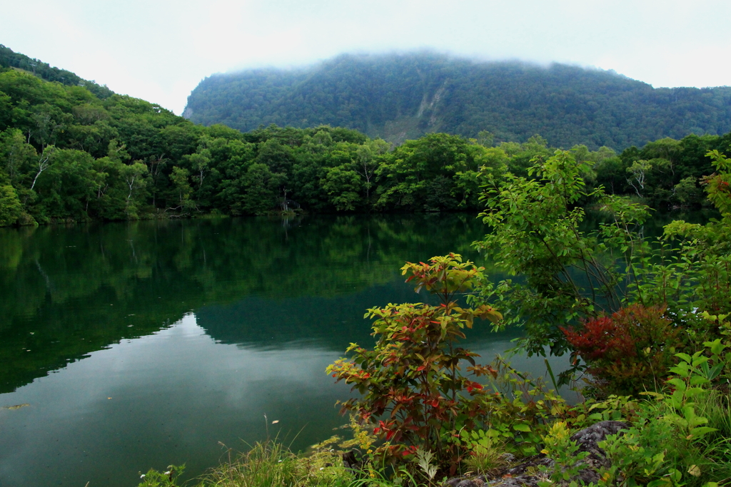 秋の気配