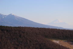 私の富士