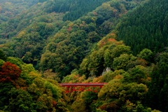 松川渓谷の赤い橋