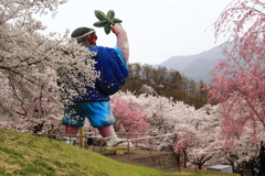 戸倉キティパークの桜