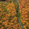 大観峰の紅葉