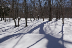 雪どけ進行中　３月３日