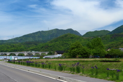 あやめの里と上田ローマン橋