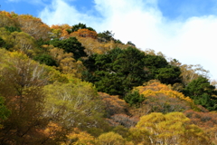 扉峠の紅葉