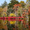 雲場池の紅葉
